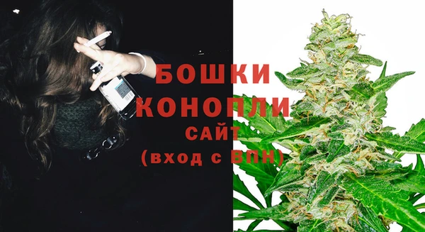 ешки Медногорск