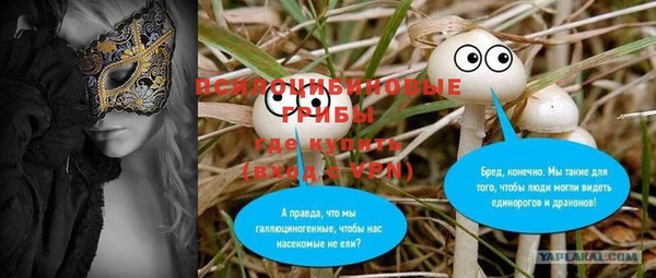 ешки Медногорск