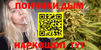 индика Гагарин