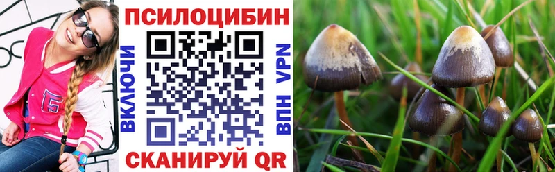 Галлюциногенные грибы мухоморы хочу наркоту Гусь-Хрустальный