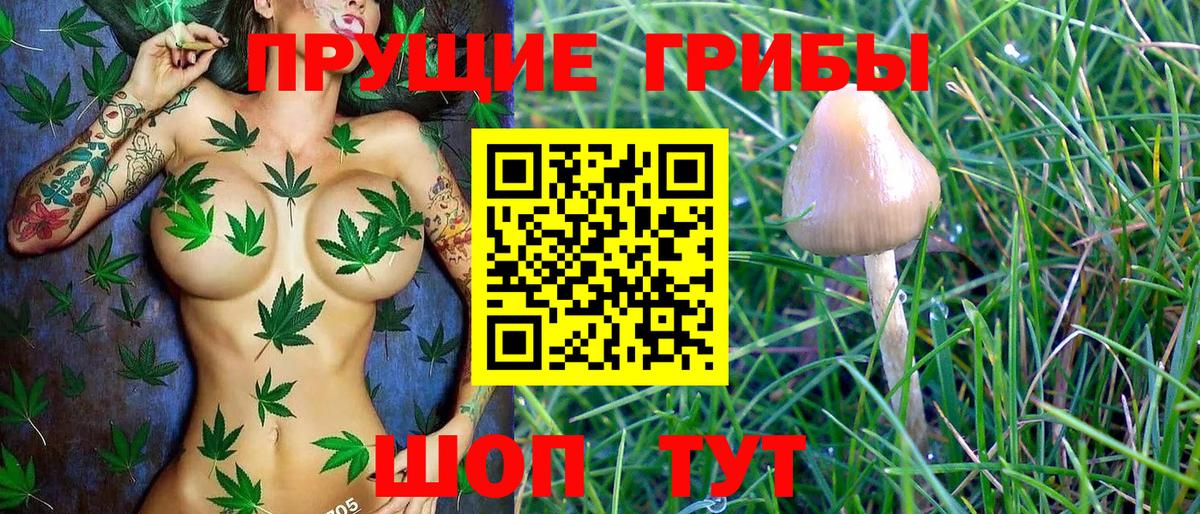 Псилоцибиновые грибы Psilocybe  Псилоцибиновые грибы MAGIC MUSHROOMS  Гусь-Хрустальный 