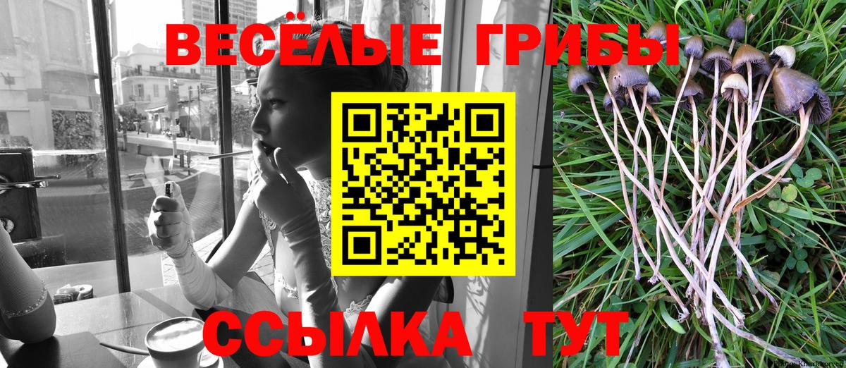 Псилоцибиновые грибы MAGIC MUSHROOMS  Вход с VPN  Гусь-Хрустальный 