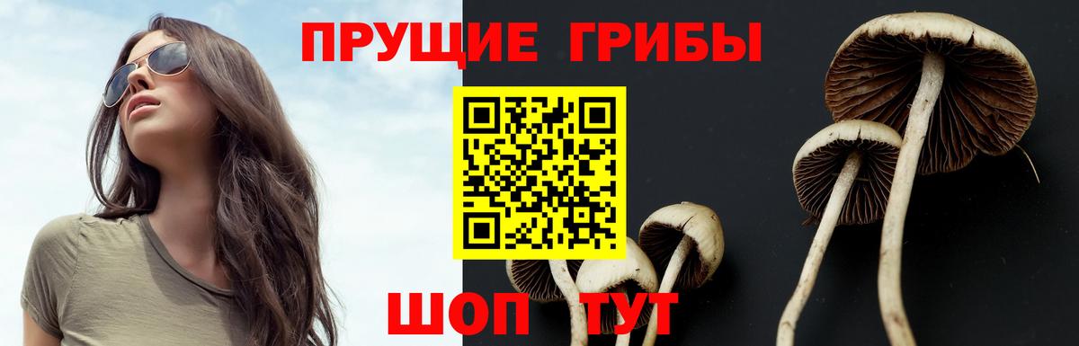 Галлюциногенные грибы GOLDEN TEACHER Гусь-Хрустальный